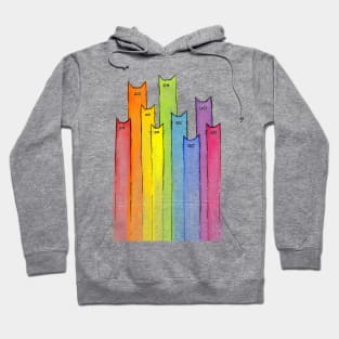 Rainbow of Cats Hoodie